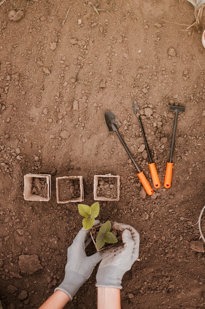 Pots and gardening tools