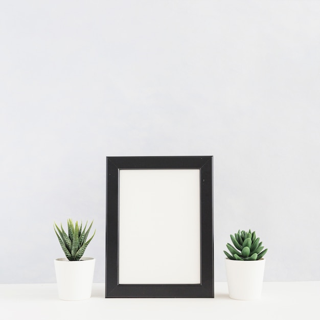Potted cactus plant between the picture frame on desk against white background