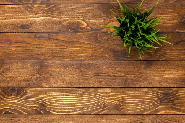 Potted grass flower over wooden table