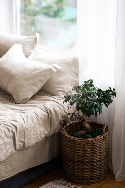 ベッドの横にある鉢植えの植物