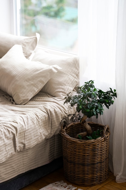 Potted plant next to bed