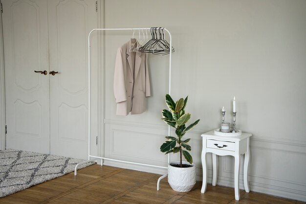 Potted plant in room with clothes rack and nightstand