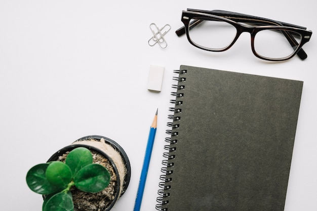 Free photo potted plant and stylish glasses near notepad