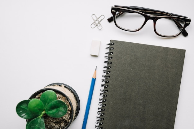 Potted plant and stylish glasses near notepad