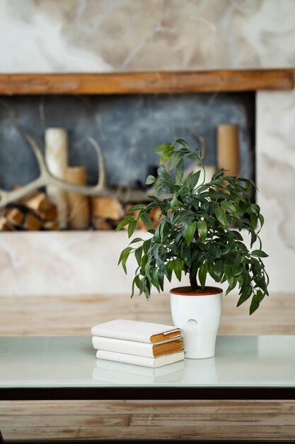 Potted plant with book on coffee table in room