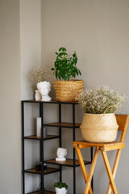 棚と椅子のある部屋の装飾として鉢植えの植物