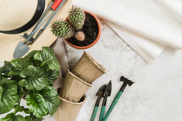 Potted plants; peat pots; gardening tools; straw hat and napkin on concrete backdrop