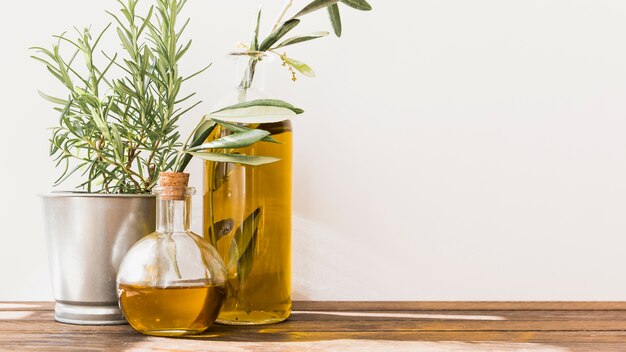 Potted rosemary with olive oil bottles on wooden table