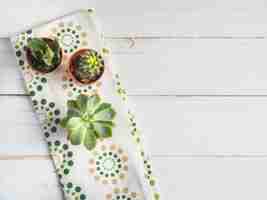 Free photo potted succulent plant on napkin over the white table