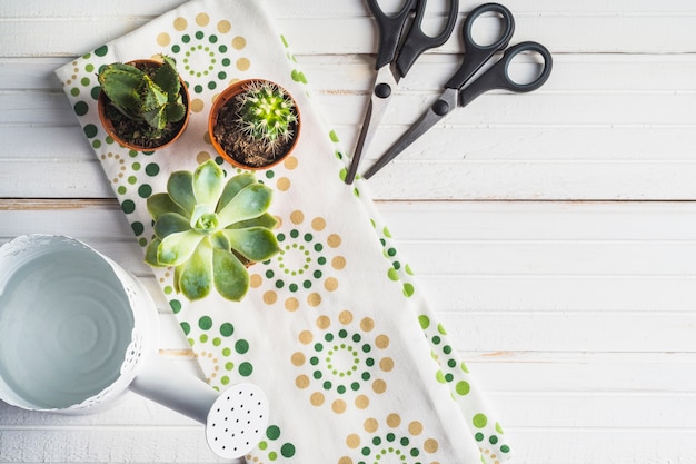 Free photo potted succulent plant on napkin with scissor and watering can on white table