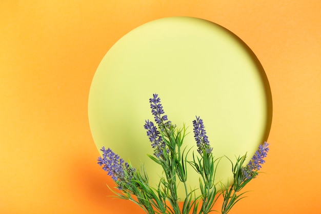 Free photo ppaer circle with lavender copy-space