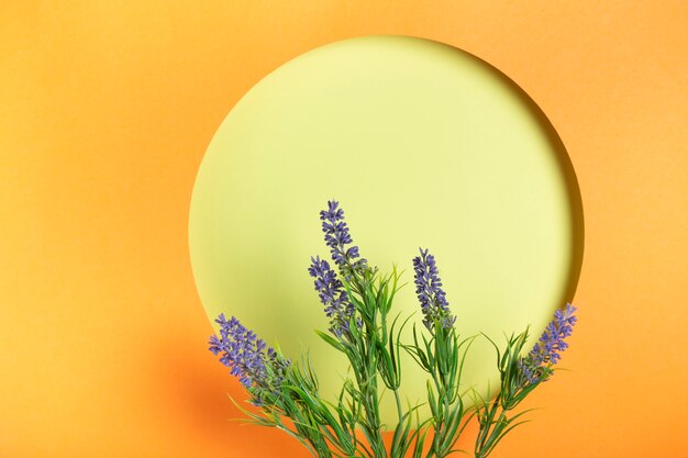 Ppaer circle with lavender copy-space