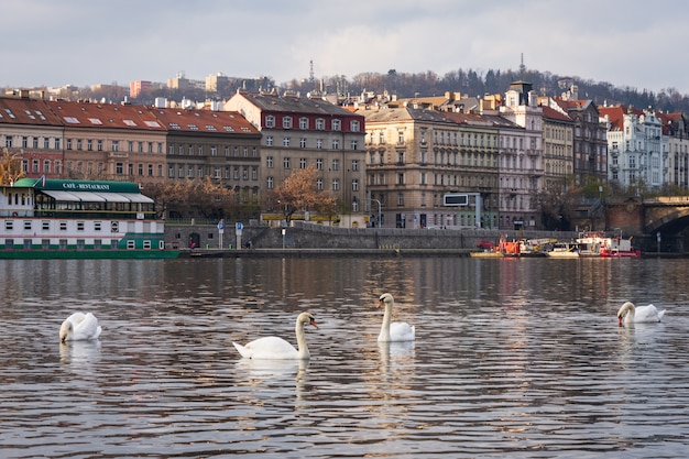 Free photo prague