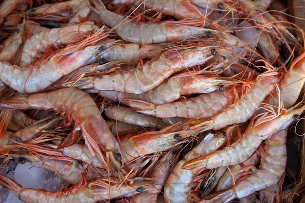 prawns on market counter