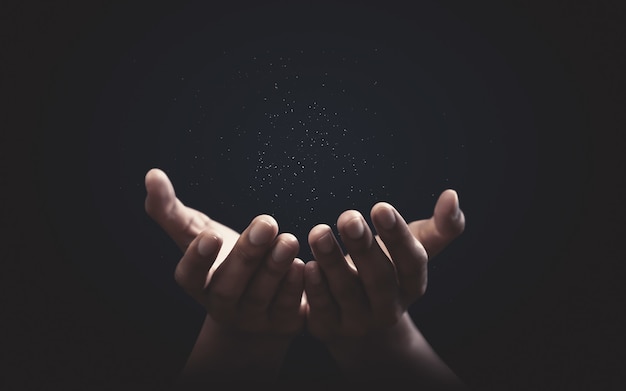 Hands Images Free Vectors Stock Photos Psd