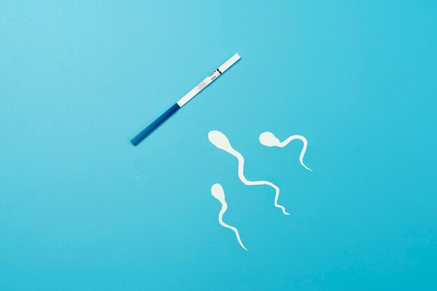 Pregnancy test still life arrangement