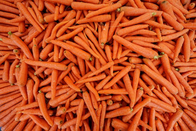 Premium fresh organic carrots