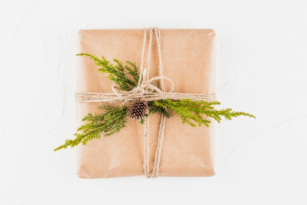 Present box in craft paper with coniferous branch