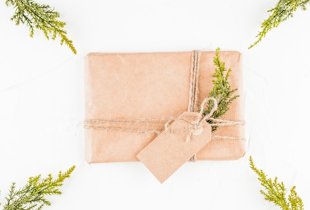 Present box in craft paper with tag between coniferous branches