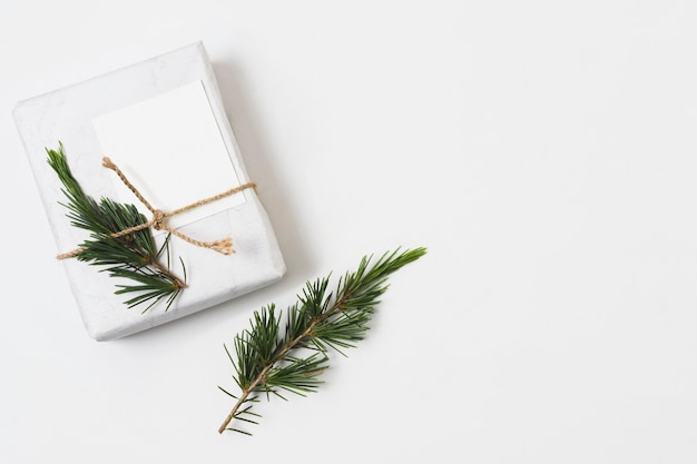 Present box with fern and string