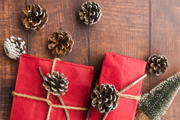 Present boxes near snags and decorative fir tree