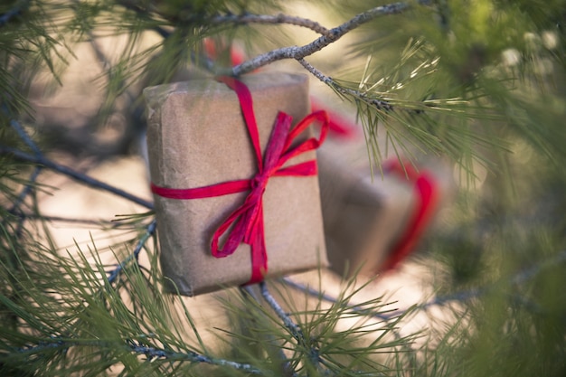 Foto gratuita scatole presenti nell'albero