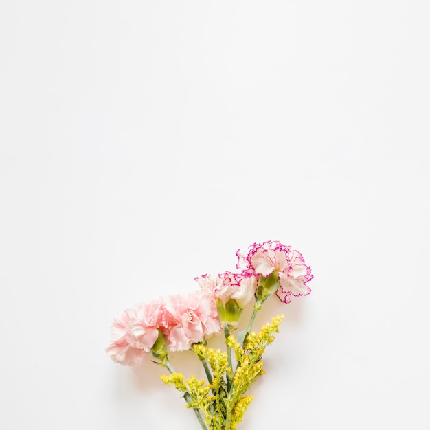 무료 사진 예쁜 카네이션과 노란 꽃