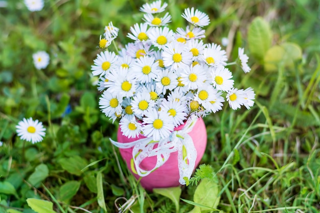 無料写真 ピンクの花瓶でかなりヒナギク