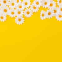 Free photo pretty daisies on yellow background with copyspace at the bottom