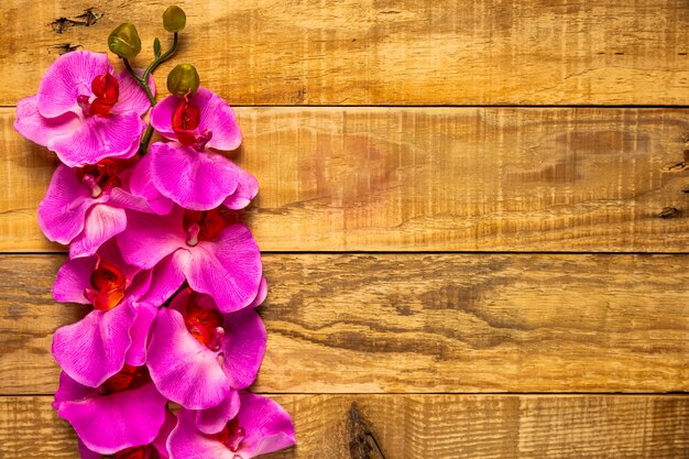 木製の背景に非常にエレガントなピンクの花