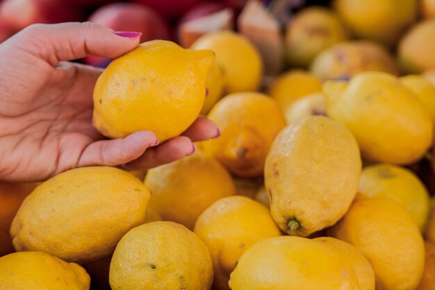 Довольно женщина покупает лимоны на рынке фруктов. Женщина, выбирающая лимоны. Женщина выбирает свежие лимоны для измерения в продуктовом магазине