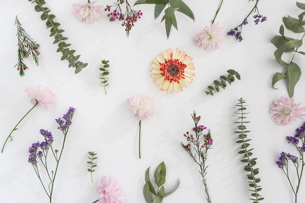 Pretty flowers on white surface