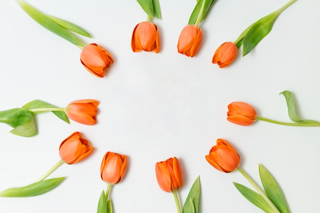 Pretty frame made of orange tulips