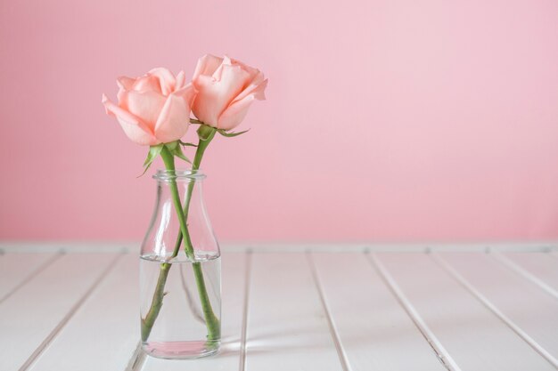 Pretty glass vase with two flowers