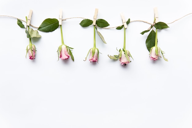 Pretty roses on thread