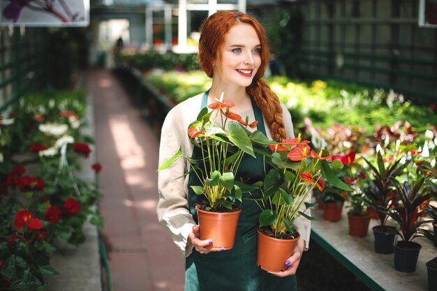 Pretty smiling florist in apron standing with two flowers in pots and dreamily looking aside in greenhouse