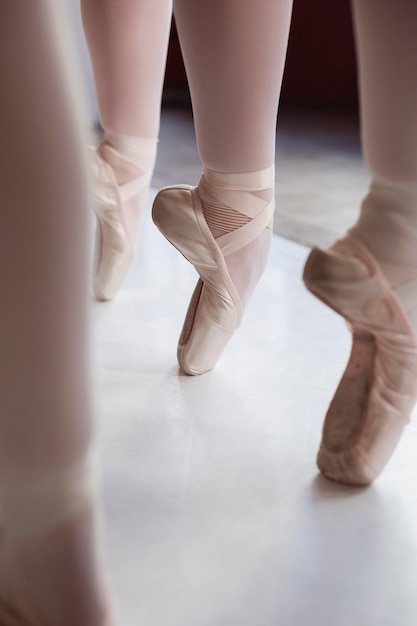 Professional ballet dancers training in pointe shoes