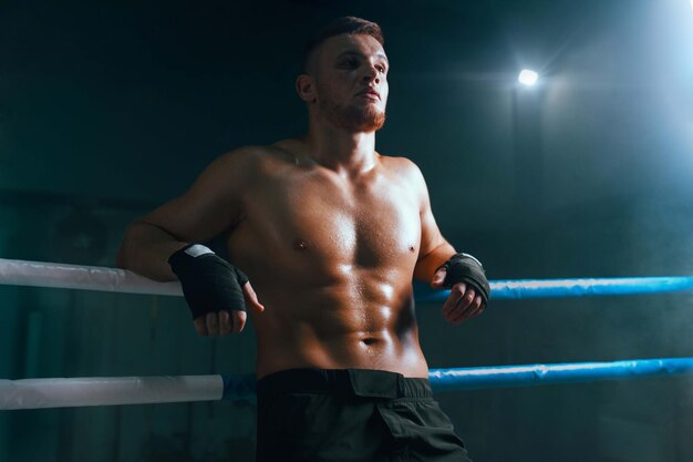 Professional boxer on boxing ring boxing training