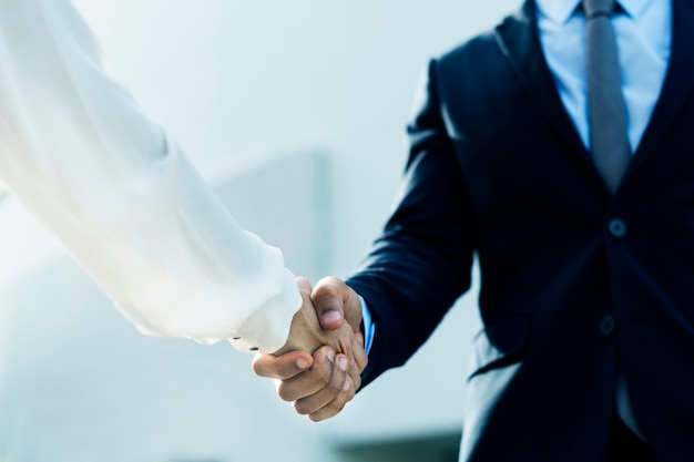 Professional corporate businesspeople shaking hands