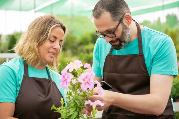 Professional gardeners growing plants and shooting them on phone