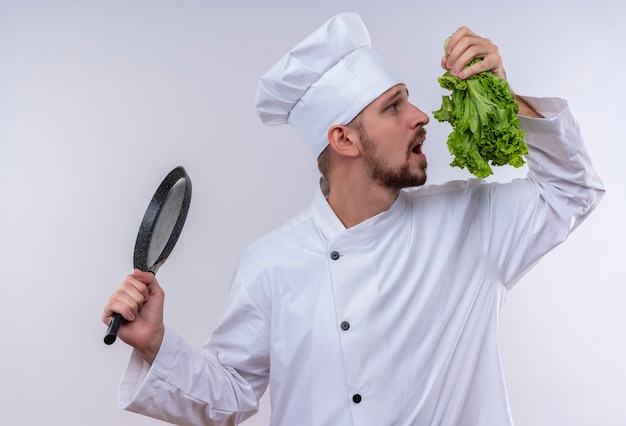 Foto gratuita chef maschio professionista cuoco in uniforme bianca e cappello da cuoco che tiene la padella e lattuga fresca cercando di annusarlo in piedi su sfondo bianco