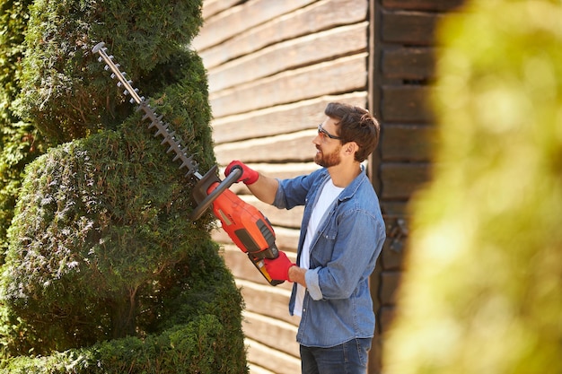 Free photo professional male landscaper trimming thuja tree with hedge trimmer in summer side view of male