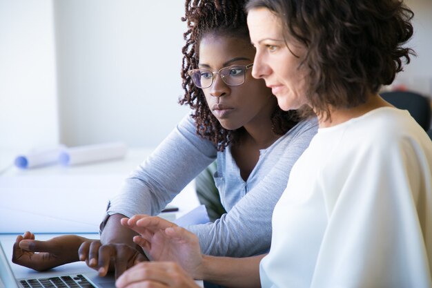 professional woman showing software specifics to colleague