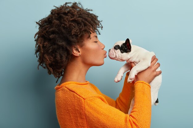 Profile shot of pleased dark skinned female kisses small french bulldog, expresses love to favorite pet, wears casual orange jumper, poses against blue wall. Little dog in hands of master