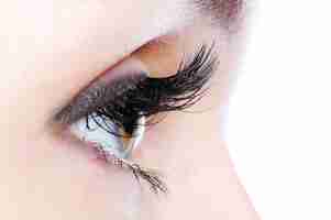 Free photo profile view of a human eye with a long curl false eyelashes