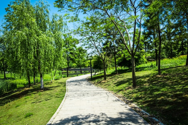 Promenade in a beautiful city park