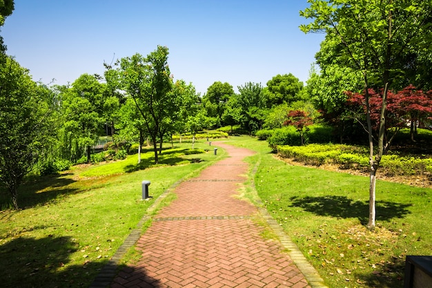 美しい都市公園のプロムナード