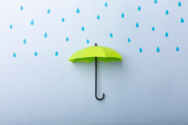 우산 보호 개념