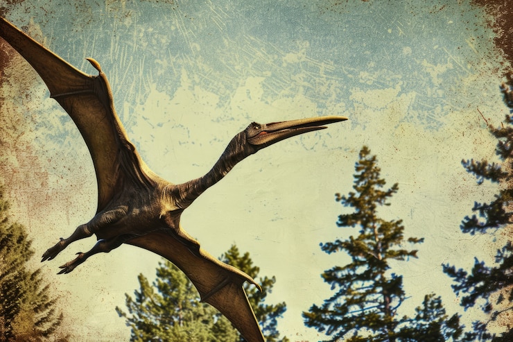 무료 Photo 자연 환경에서의 pterodactylus