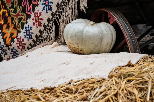 Pumpkin on a bale of straw Selective focus blurred background Still life of fresh fruits and nuts harvest season Ecological products